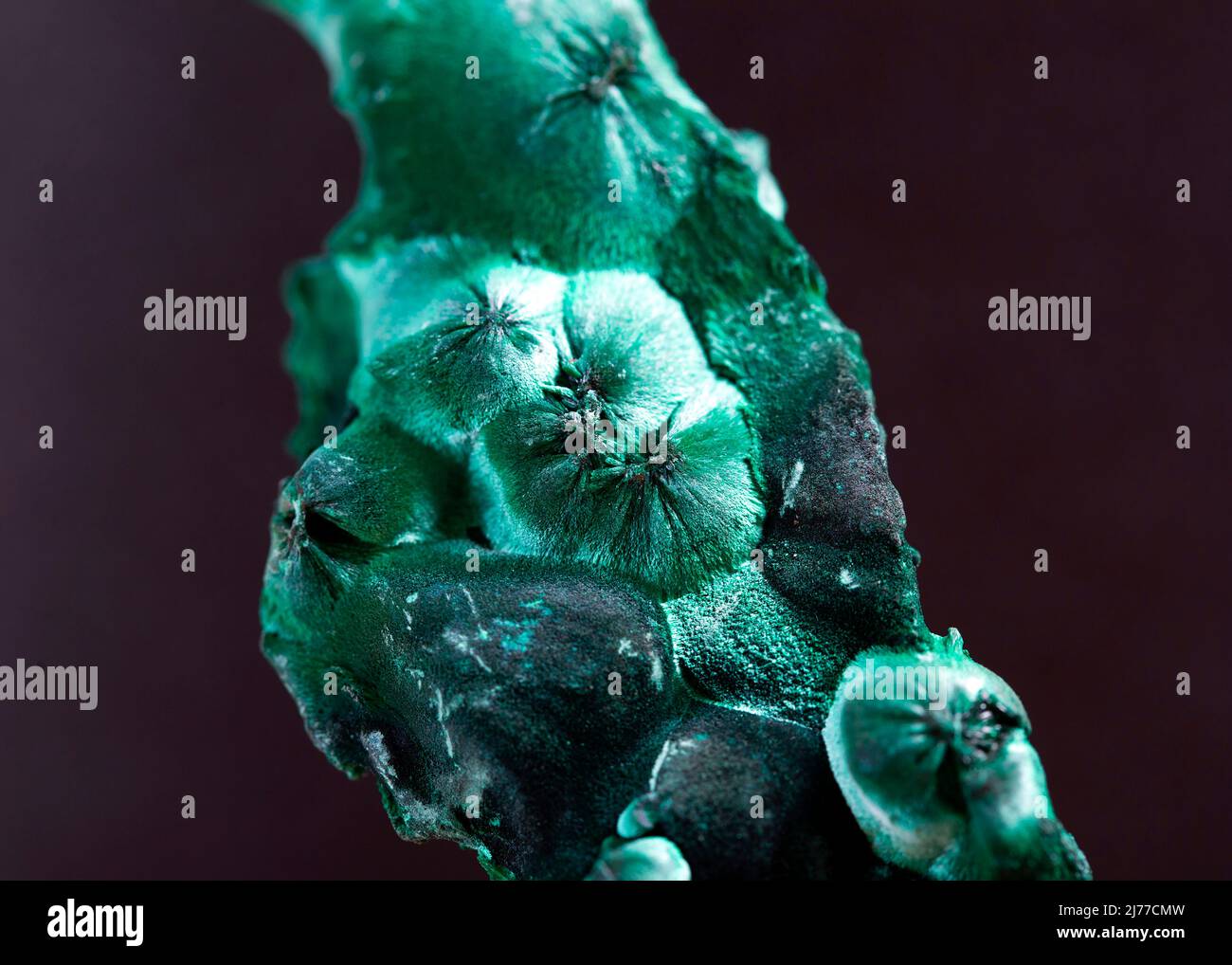 malachite minéral spécimen pierre géologie roche cristal de gemme Banque D'Images