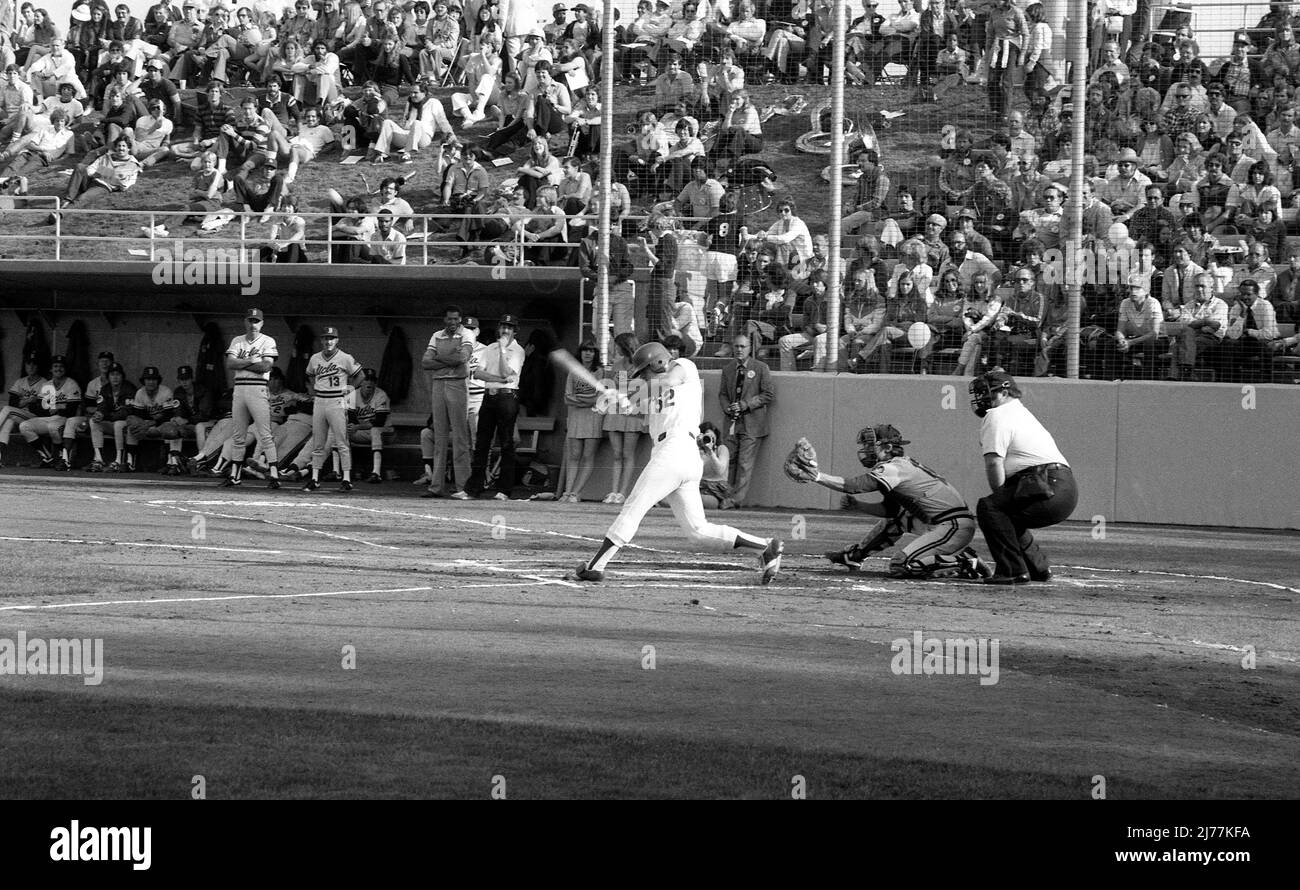 Exposition de baseball entre les Dodgers de Los Angeles et les Bruins d'UCLA pour commémorer le nouveau Jackie Robinson Stadium comme la maison classée pour les matchs de baseball collégial des Bruins. Fév. 1981 Banque D'Images