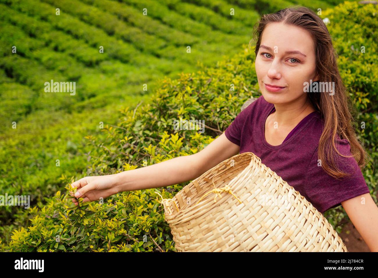 femme caicasienne touristique avec panier de paille dans les plantations de Munnar Kerala en Inde Banque D'Images