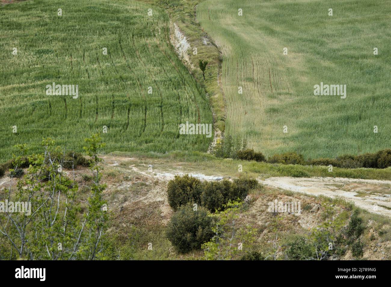 Grand angle et vue de dessus des prairies et des champs agricoles Banque D'Images