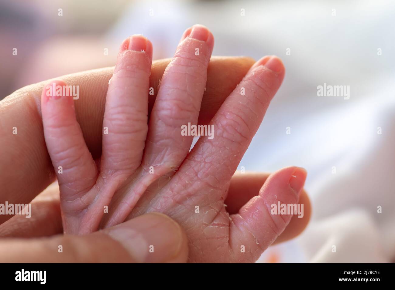 main d'un père tenant la petite main de son nouveau-né. concept de soins et de protection dans la famille Banque D'Images