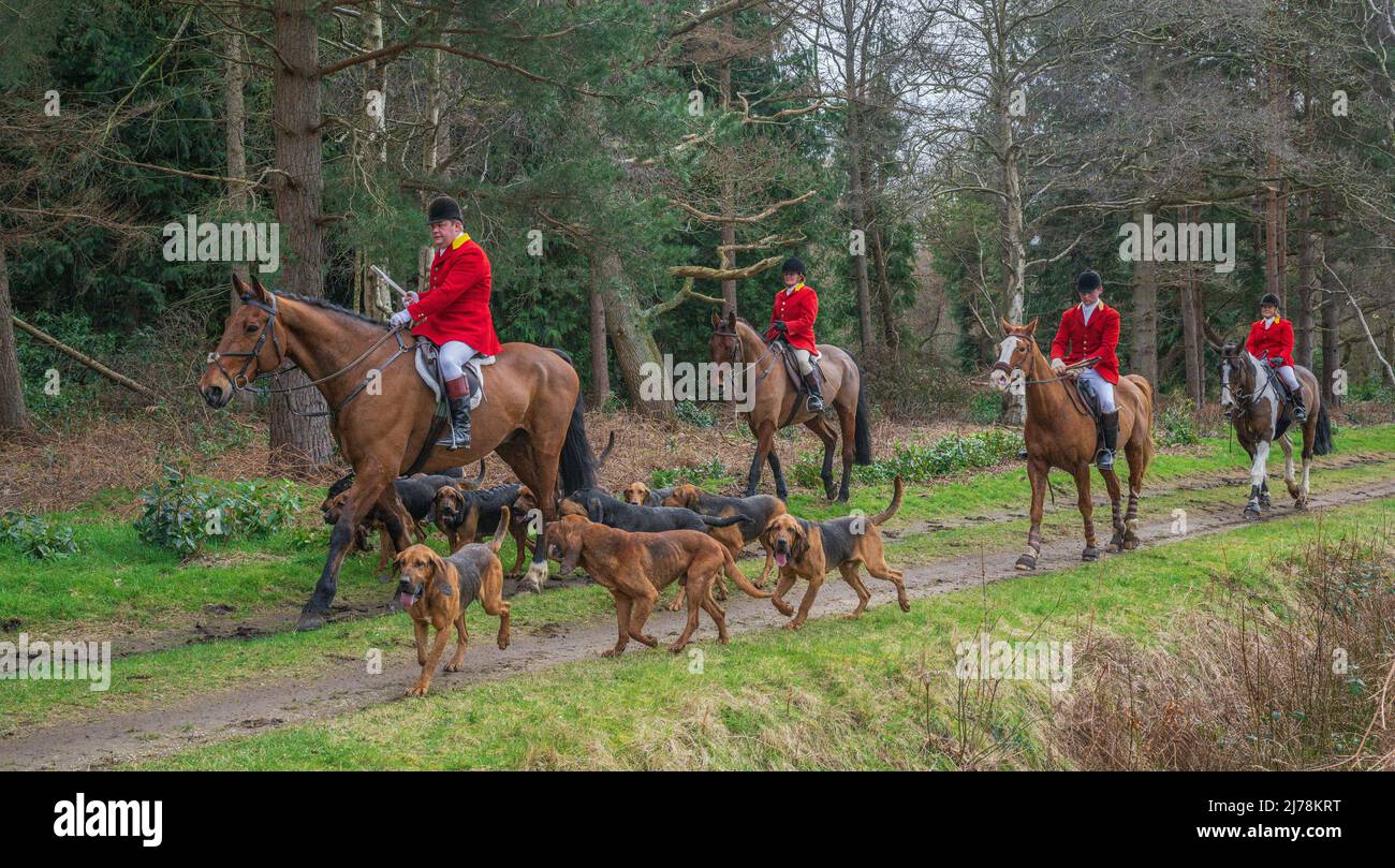 The Cranwell Bloodhounds – en finissant un dimanche après-midi, vous rencontreront les Huntsman, les Whippers et les Masters Banque D'Images