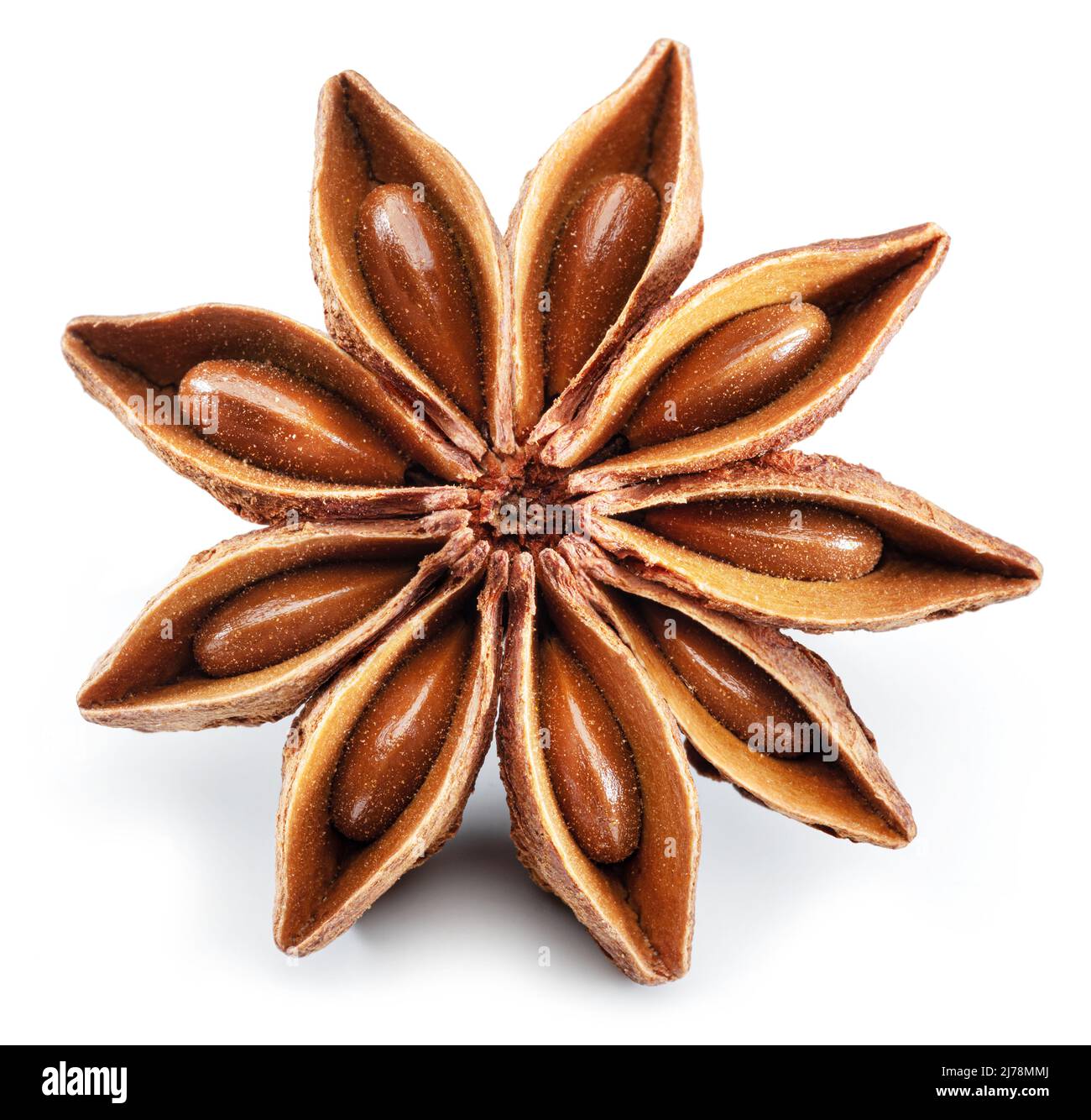 Étoile anis et anis, épice au goût fort utilisé dans la cuisine, isolé sur fond blanc. Banque D'Images