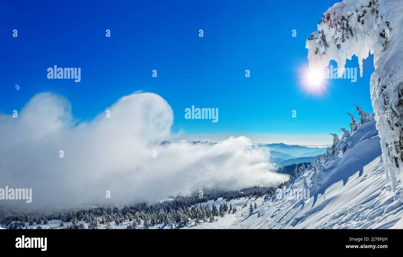 Magnifique paysage d'hiver ensoleillé dans les montagnes de Thottoy. Montagne et sapins couverts de neige. Banque D'Images