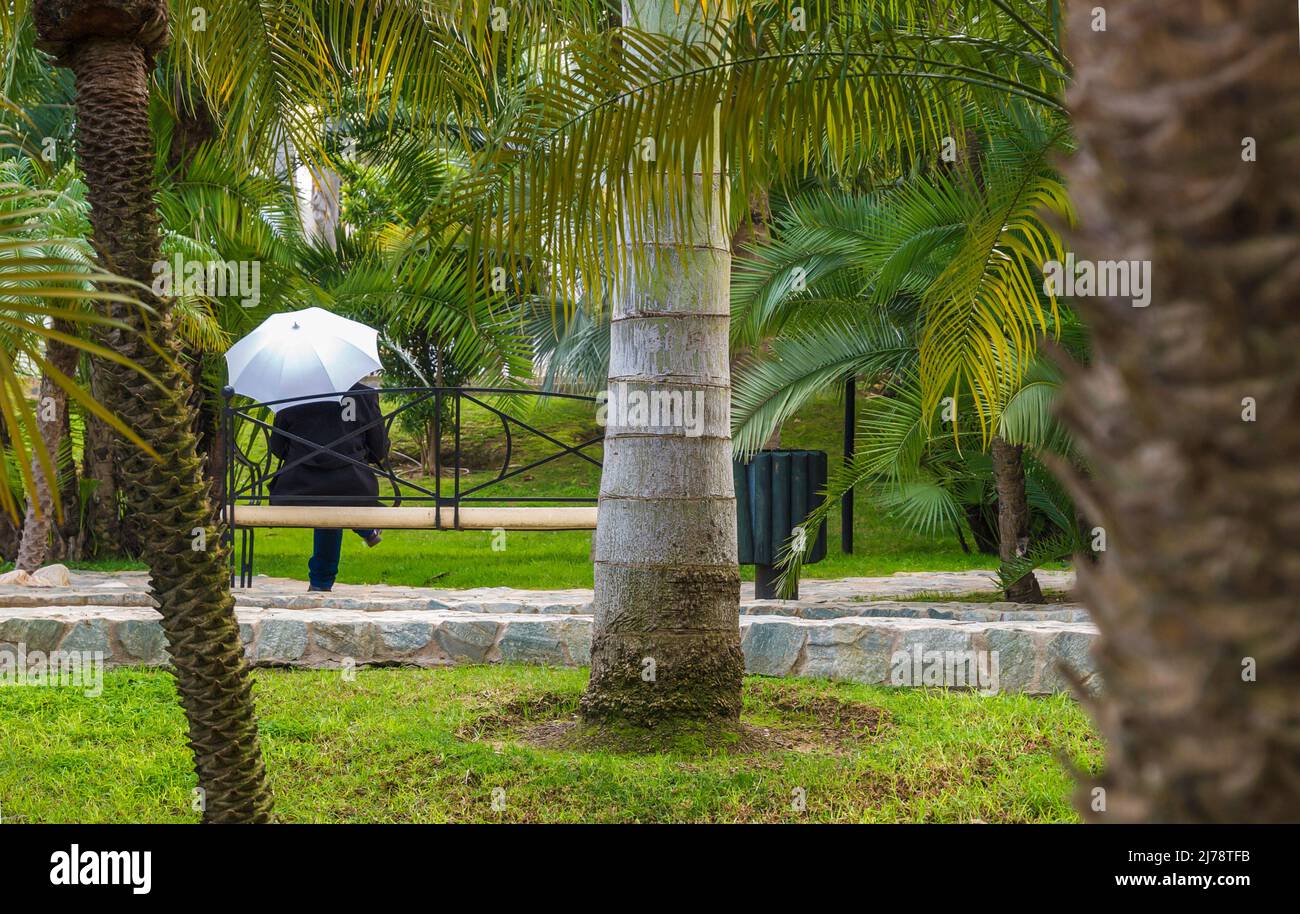 Femme avec parapluie blanc dans un labyrinthe d'un jardin à Torremolinos Banque D'Images