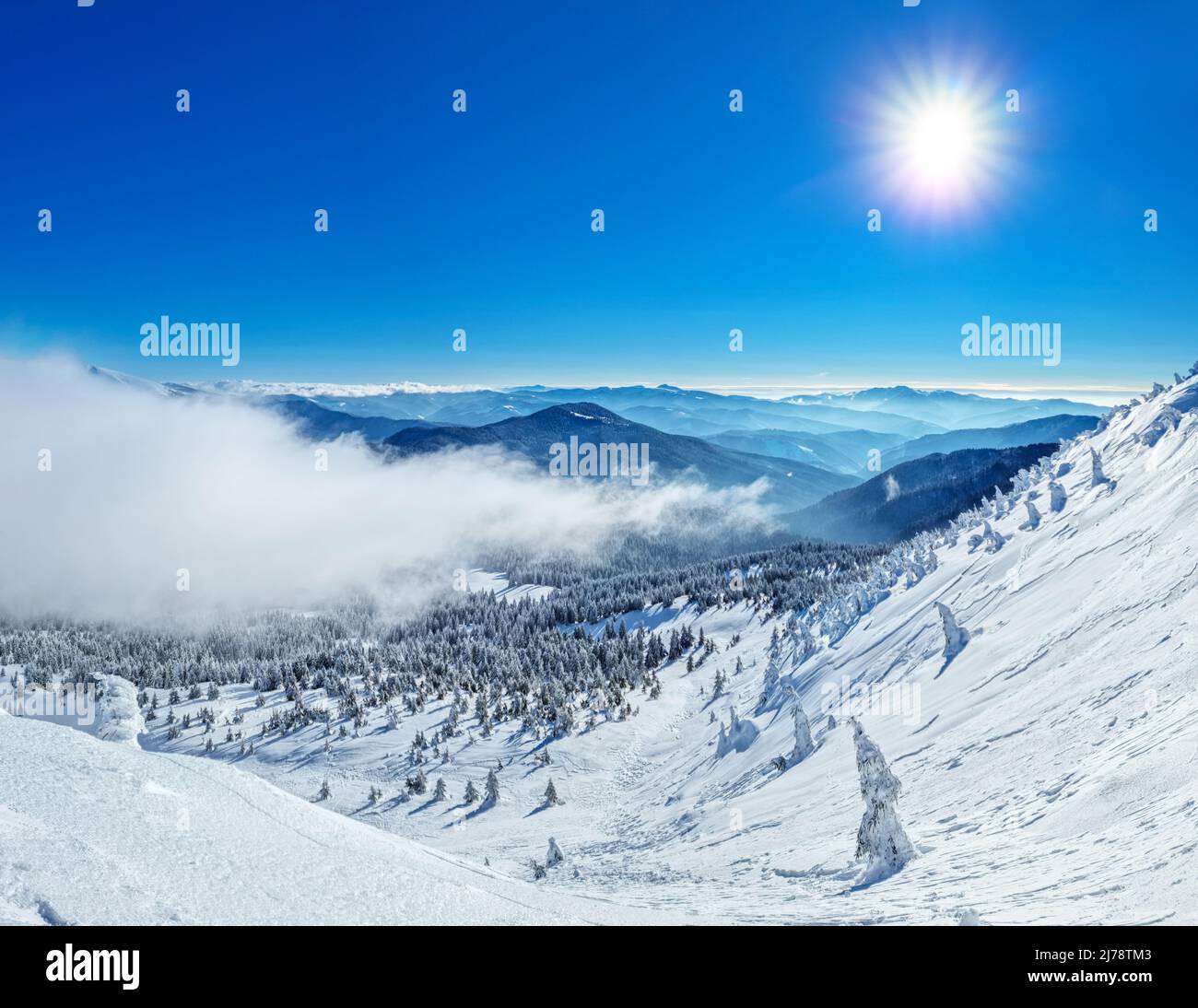 Magnifique paysage d'hiver ensoleillé dans les montagnes de Thottoy. Montagne et sapins couverts de neige et de nuages. Banque D'Images