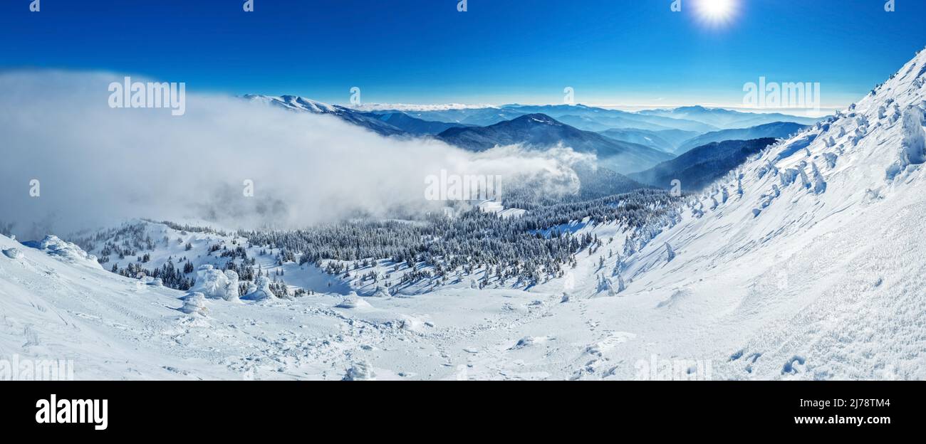Beau paysage ensoleillé d'hiver dans les montagnes. Montagne et sapins couverts de neige. Banque D'Images