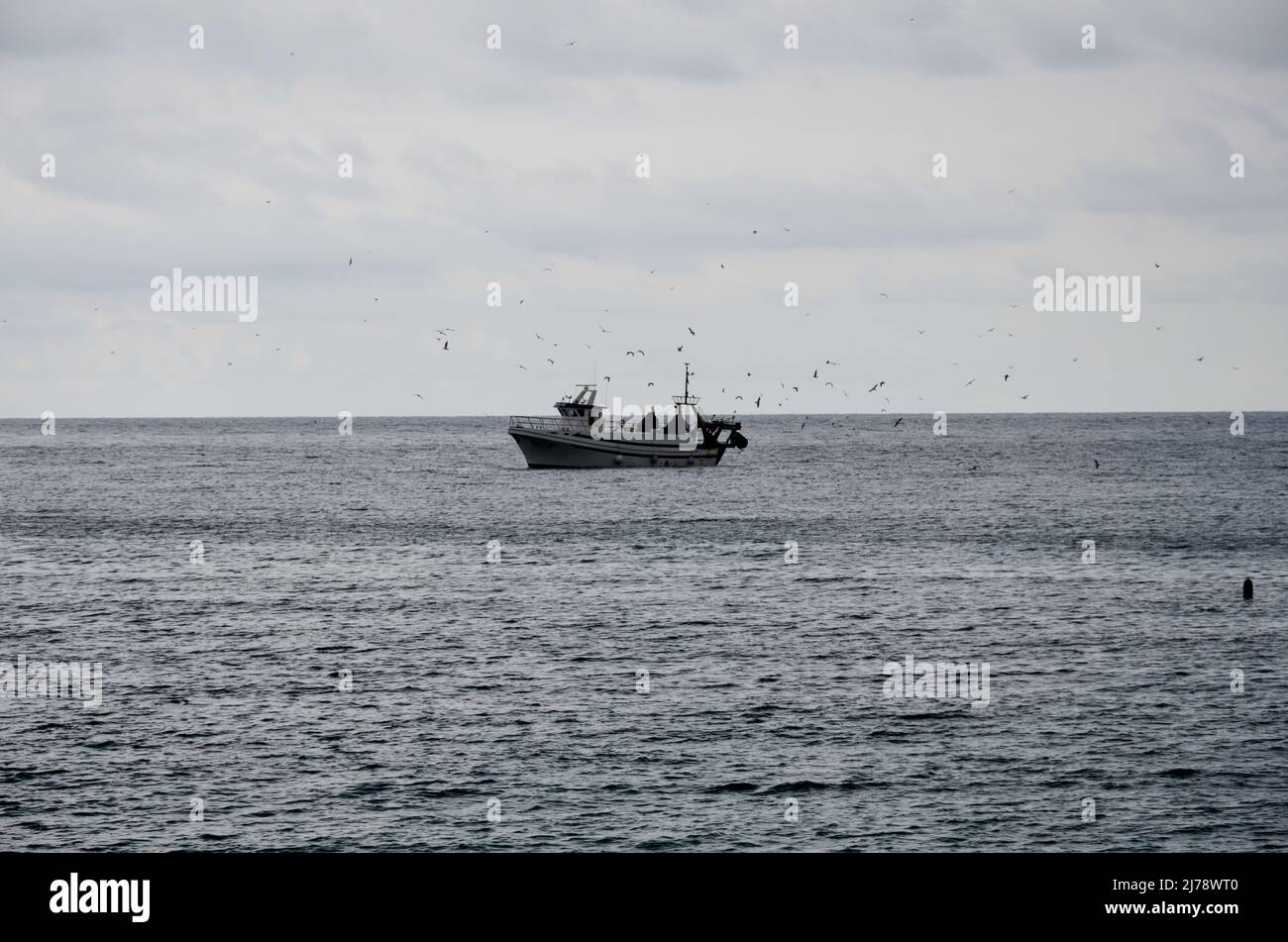 Un petit chalutier de pêche arrive dans le port de Denia. Au-dessus de lui, les mouettes encerclent gaiement pour les poissons pêchés Banque D'Images