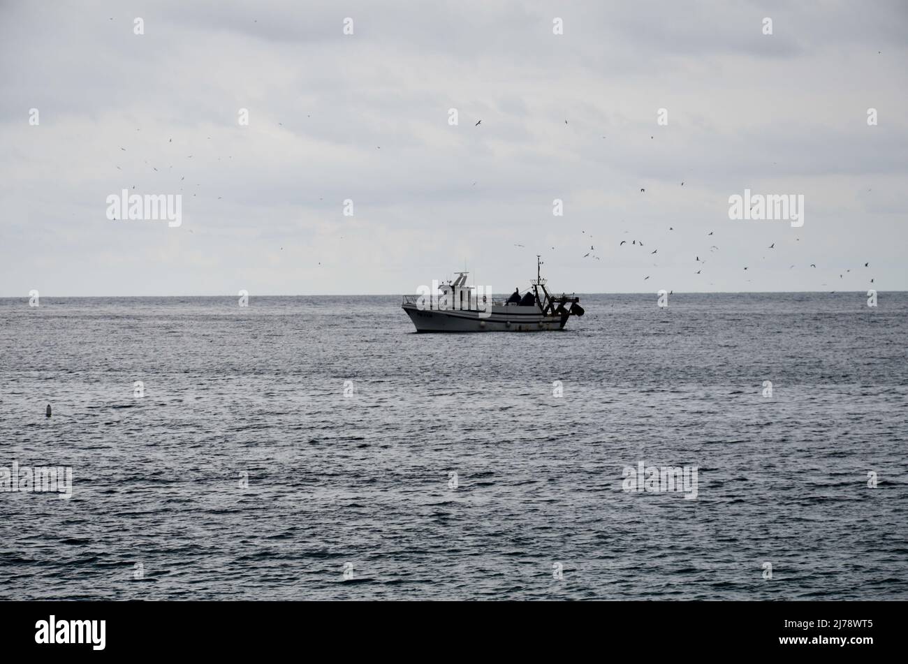 Un petit chalutier de pêche arrive dans le port de Denia. Au-dessus de lui, les mouettes encerclent gaiement pour les poissons pêchés Banque D'Images