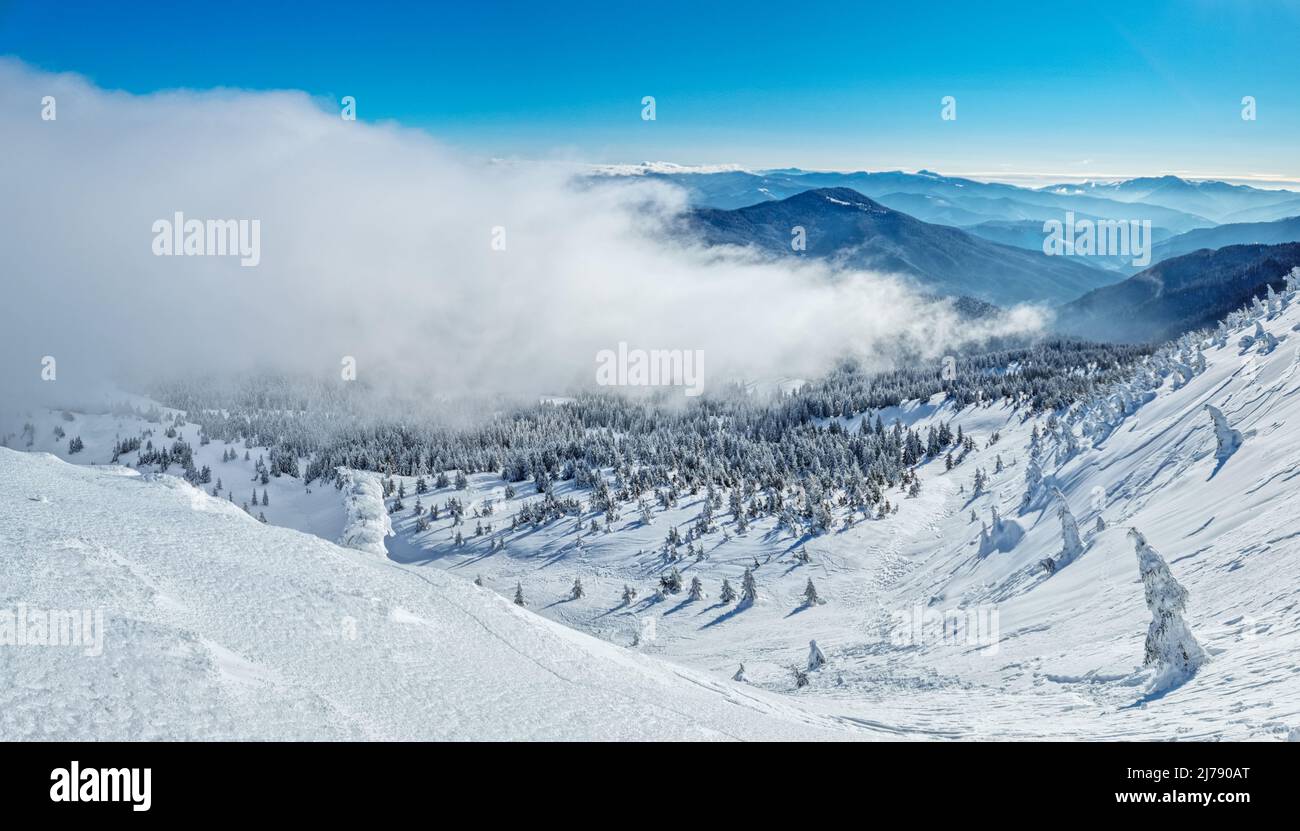 Magnifique paysage d'hiver ensoleillé dans les montagnes de Thottoy. Montagne et sapins couverts de neige et de nuages. Banque D'Images