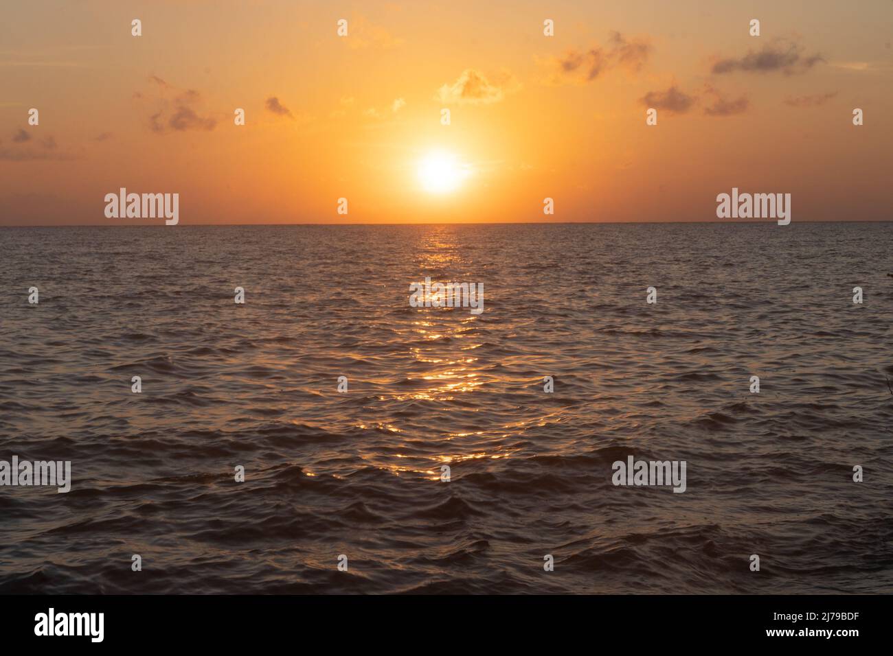 lever du soleil tôt le matin coucher du soleil avec des feuilles d'arbres et des vagues d'eau bleue qui se lantent sur la rive dans le paradis tropical de swaraj dweep havelock Banque D'Images