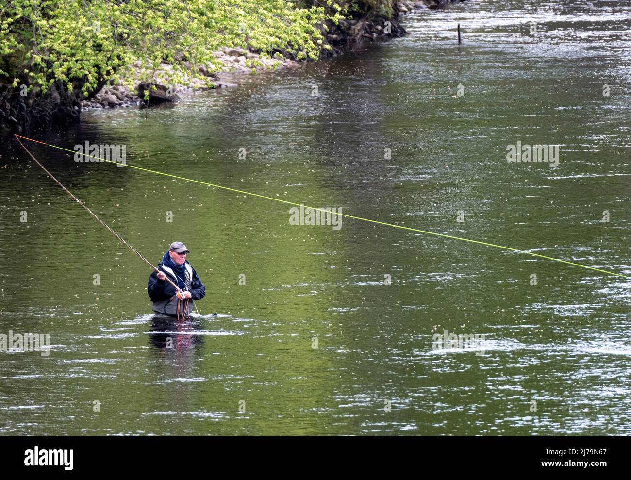 Pêcheur debout dans la rivière Tummel à Pitlochry, Perthshire, Écosse. Banque D'Images