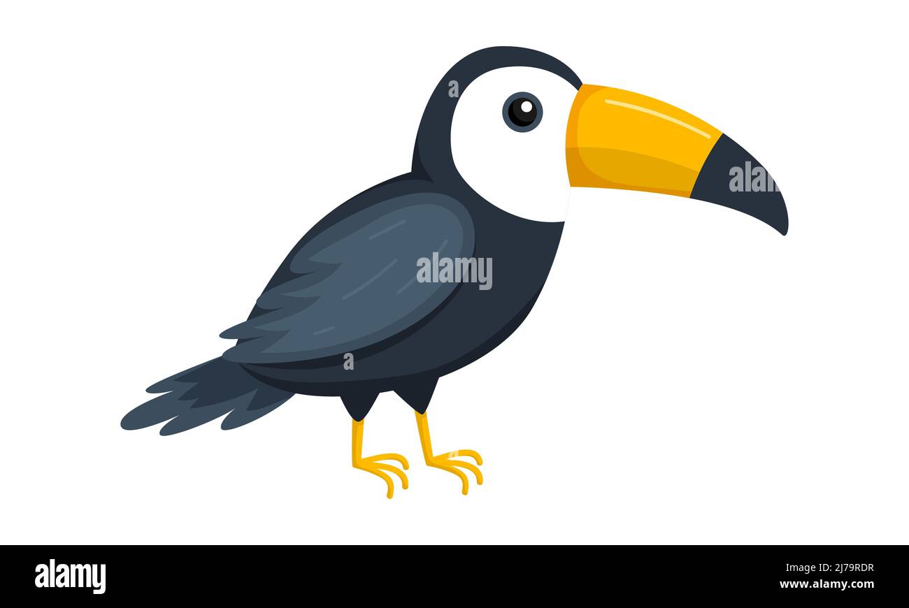 Toucan. Un oiseau tropical. Un animal exotique. Illustration vectorielle dans un style de dessin animé plat, isolée sur un arrière-plan blanc Illustration de Vecteur
