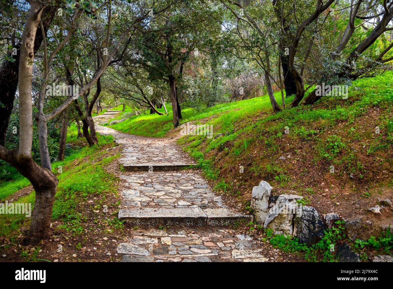 Un chemin ombragé de la colline de Philopapos près de la grotte et du donjon de Socrates à Athènes, Grèce. Banque D'Images