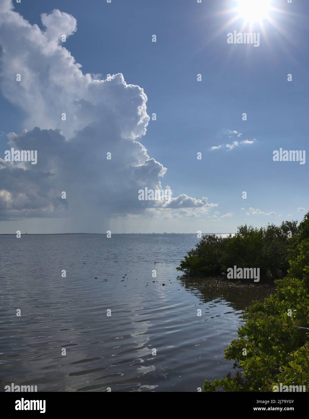 Une image portrait d'un grand orage se formant à Tampa Bay, Floride. Banque D'Images