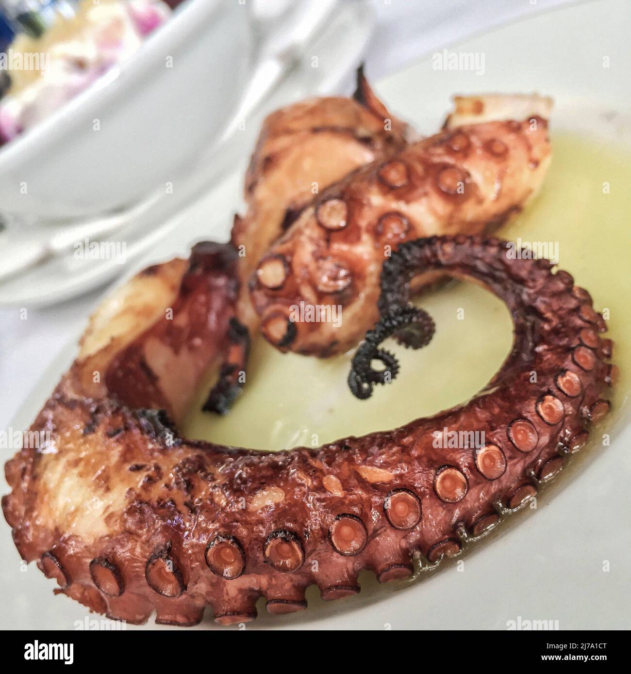 pieuvre grillée sur l'assiette Banque D'Images