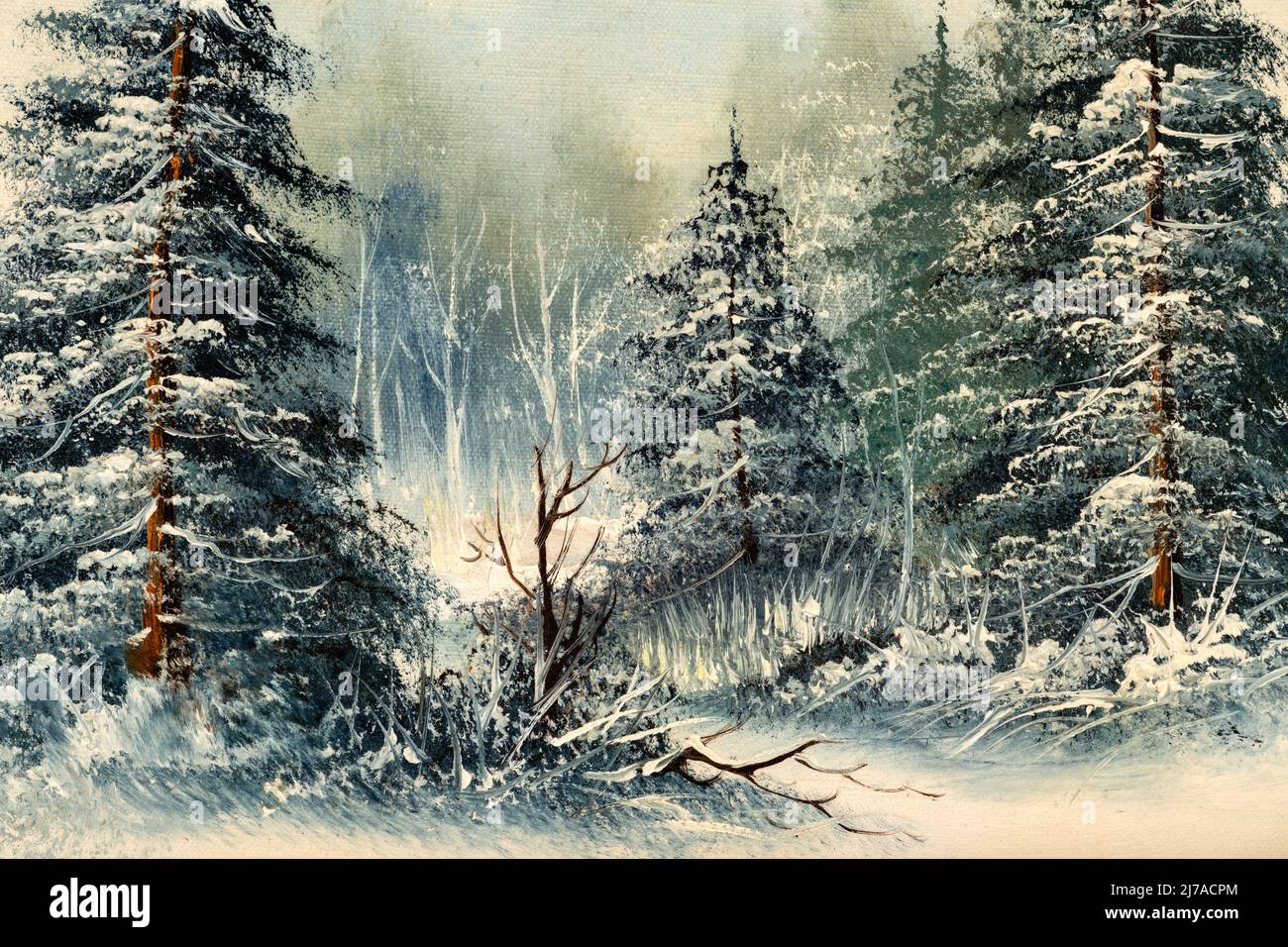Pins permanents dans un champ enneigé. Gros plan sur la peinture à l'huile Vintage Winter Scene. Concept de Noël. Banque D'Images
