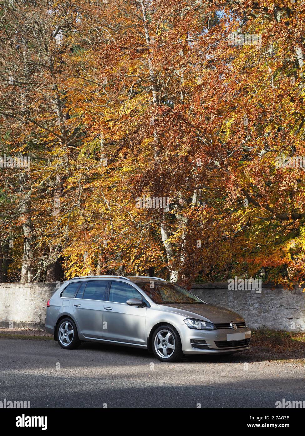 Argent tungstène Volkswagen Golf MK7 Estate, variante. Garé devant de grands arbres avec des feuilles aux couleurs automnales et un vieux mur en pierre Banque D'Images