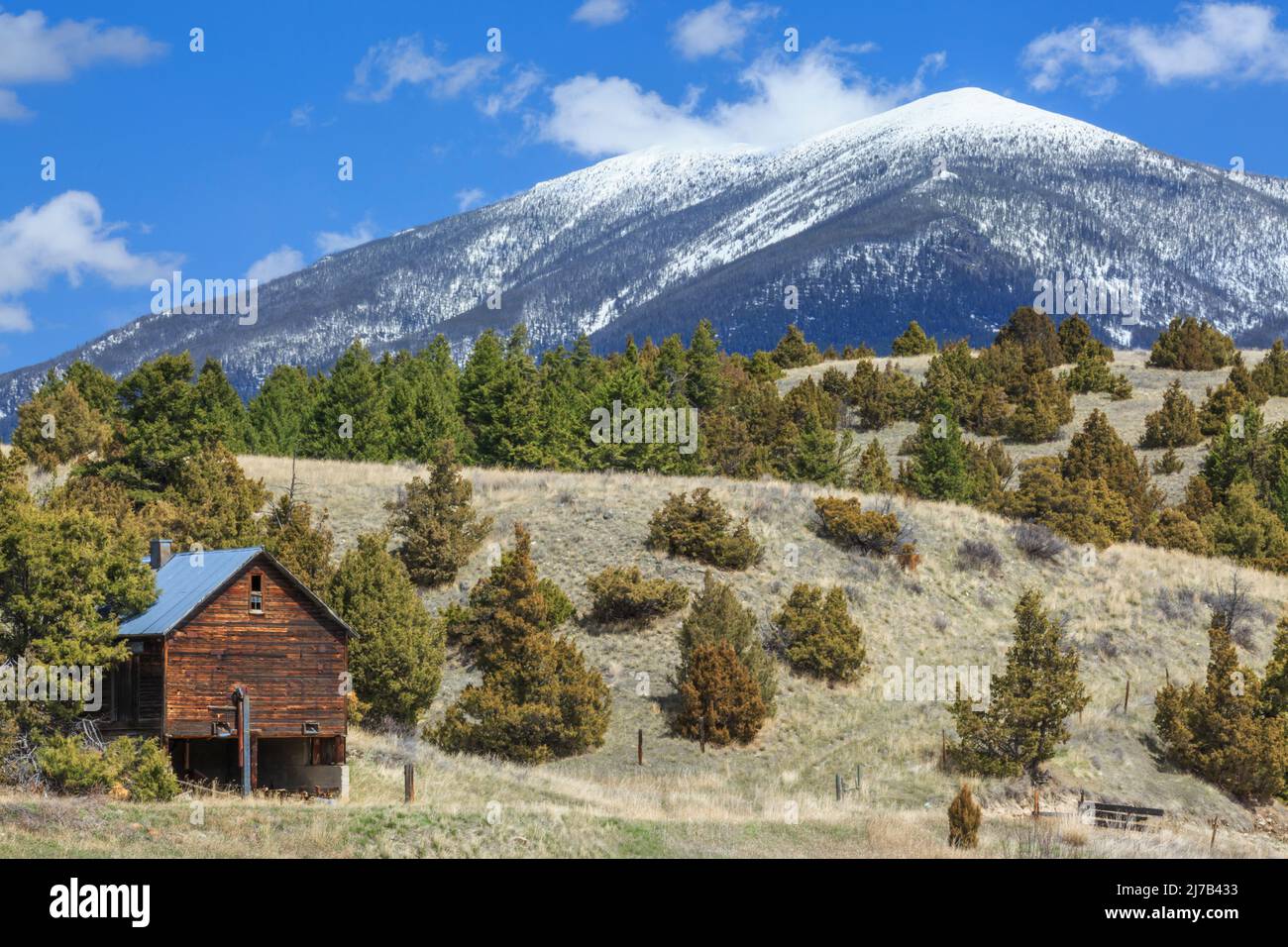 ancienne grange dans les contreforts du mont baldy, dans les grandes montagnes près de townsend, montana Banque D'Images
