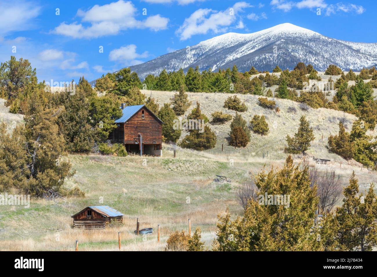 ancienne grange et cabane dans les contreforts sous le mont baldy dans les grandes montagnes de ceinture près de townsend, montana Banque D'Images
