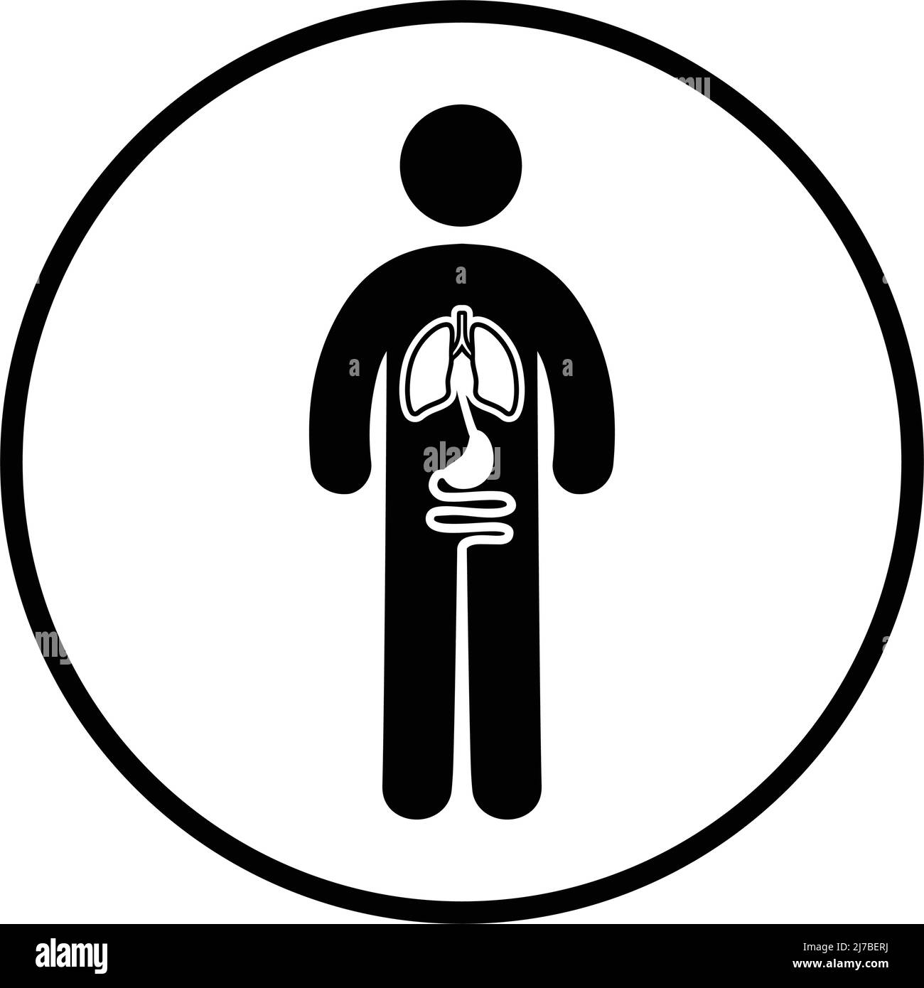 Anatomy, Healthcare Icon - conception vectorielle bien organisée et modifiable à l'aide de supports commerciaux, de supports d'impression, de sites Web ou de tout type de projets de conception. Illustration de Vecteur