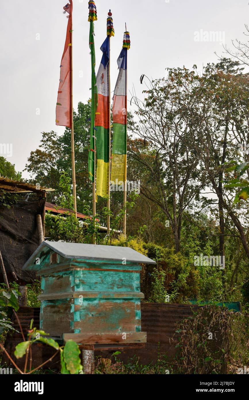 Boîte de ruche en bois, pour piéger et porter l'essaim. Mât de drapeau de prière. Banque D'Images