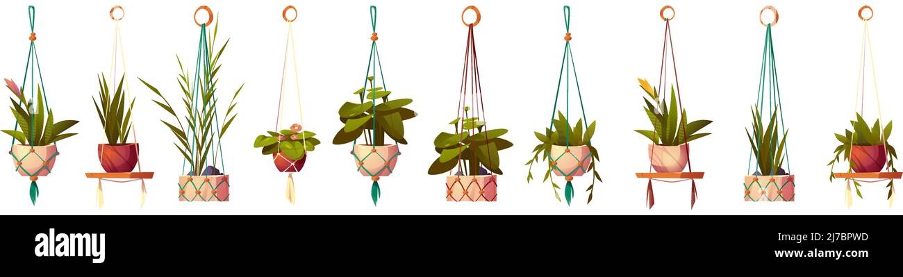 Maison des plantes dans des pots suspendus, ensemble isolé de fleurs dans des cintres de macrame. Jardinières vertes en supports faits main en corde pour la décoration intérieure Illustration de Vecteur