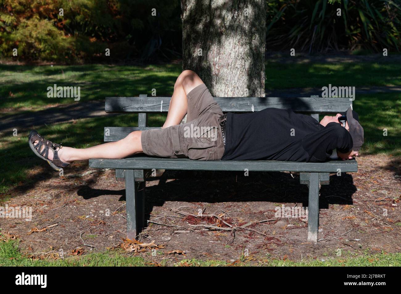 Un homme est allongé sur un banc de parc sous la lumière d'un arbre Banque D'Images