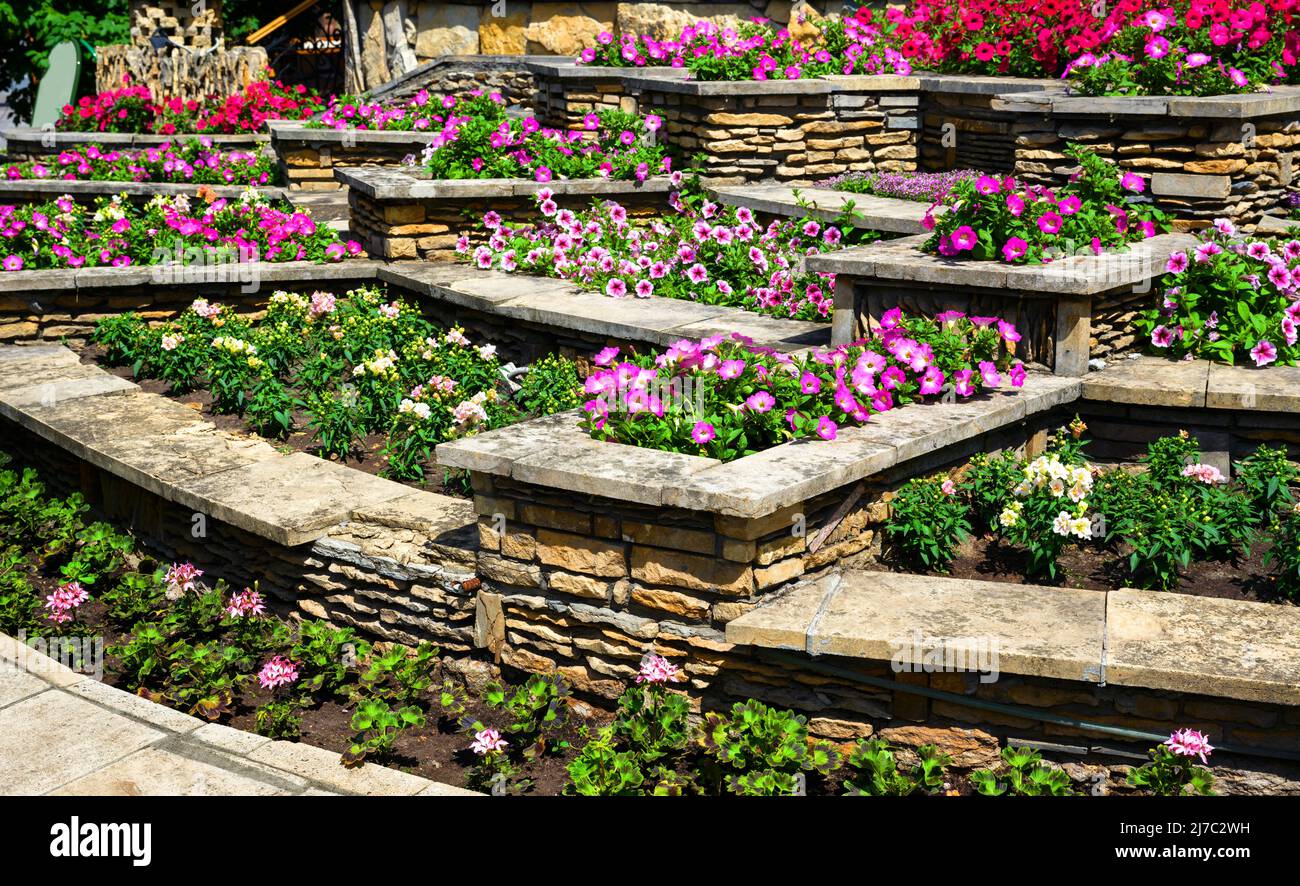 Aménagement paysager avec murs de soutènement et parterres de fleurs dans l'arrière-cour de la maison résidentielle. Aménagement paysager du jardin haut de gamme de la maison en été. Fleurs et plantes o Banque D'Images