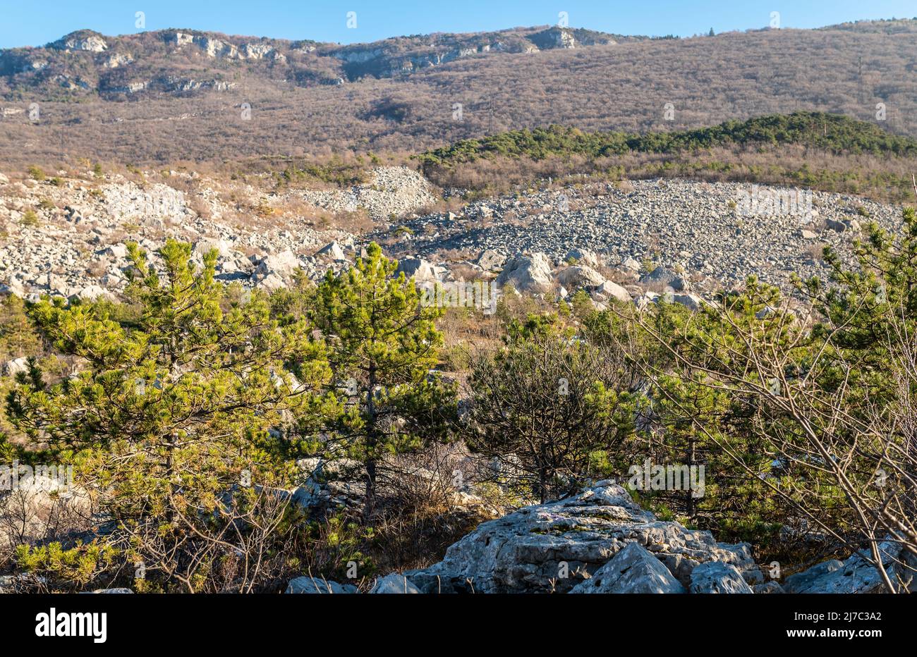 Empreintes de dinosaures à la Marocche de Dro, province de Trento, nord de l'Italie. Ces empreintes ont été laissées il y a environ 190 millions d'années. Banque D'Images