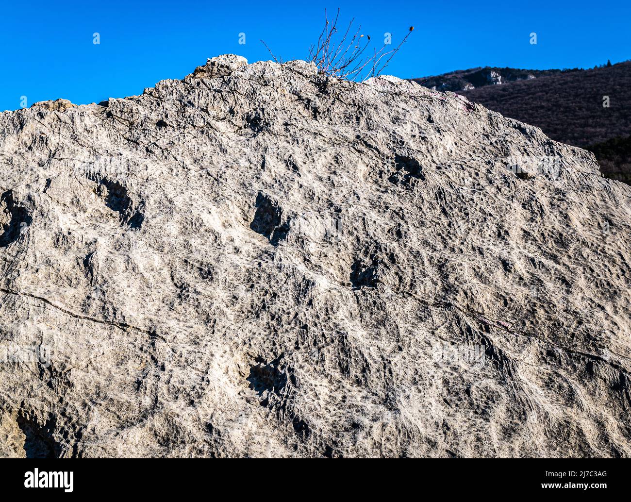 Empreintes de dinosaures à la Marocche de Dro, province de Trento, nord de l'Italie. Ces empreintes ont été laissées il y a environ 190 millions d'années. Banque D'Images