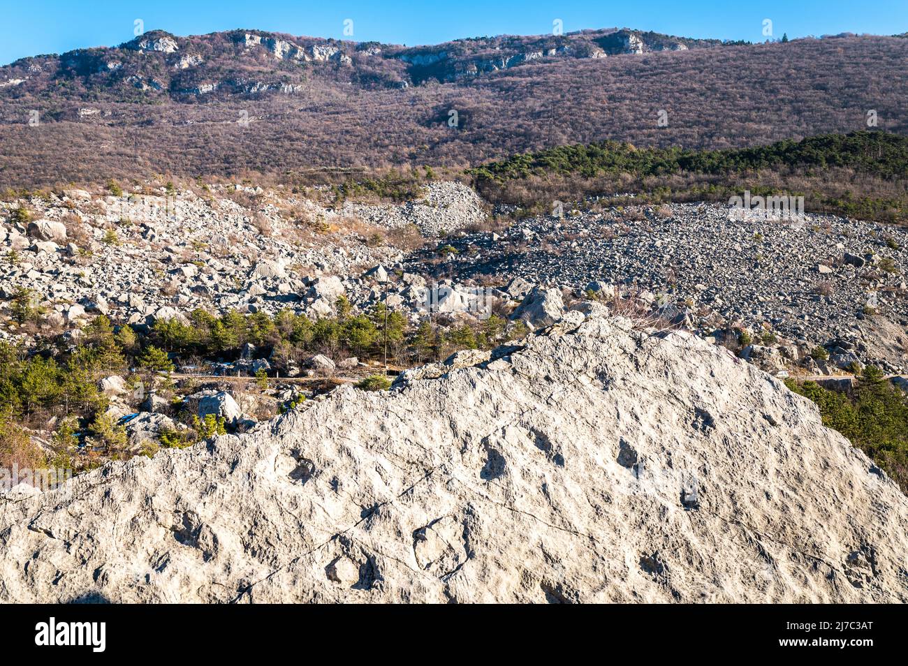 Empreintes de dinosaures à la Marocche de Dro, province de Trento, nord de l'Italie. Ces empreintes ont été laissées il y a environ 190 millions d'années. Banque D'Images