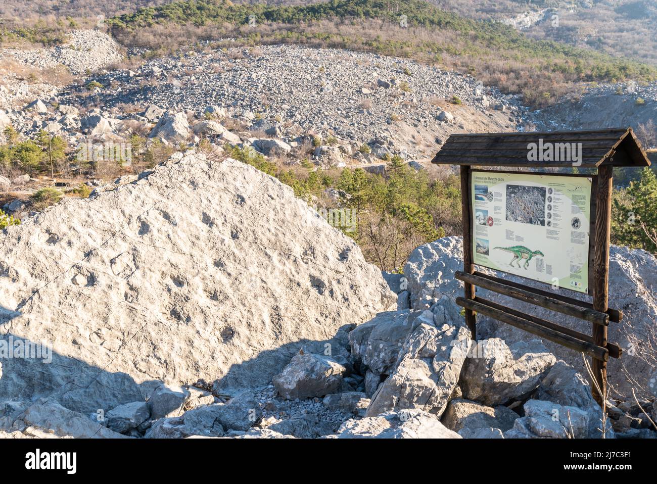 Empreintes de dinosaures à la Marocche de Dro, province de Trento, nord de l'Italie. Ces empreintes ont été laissées il y a environ 190 millions d'années. Banque D'Images