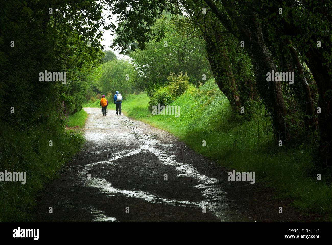 Deux routards sur une route de terre Banque D'Images