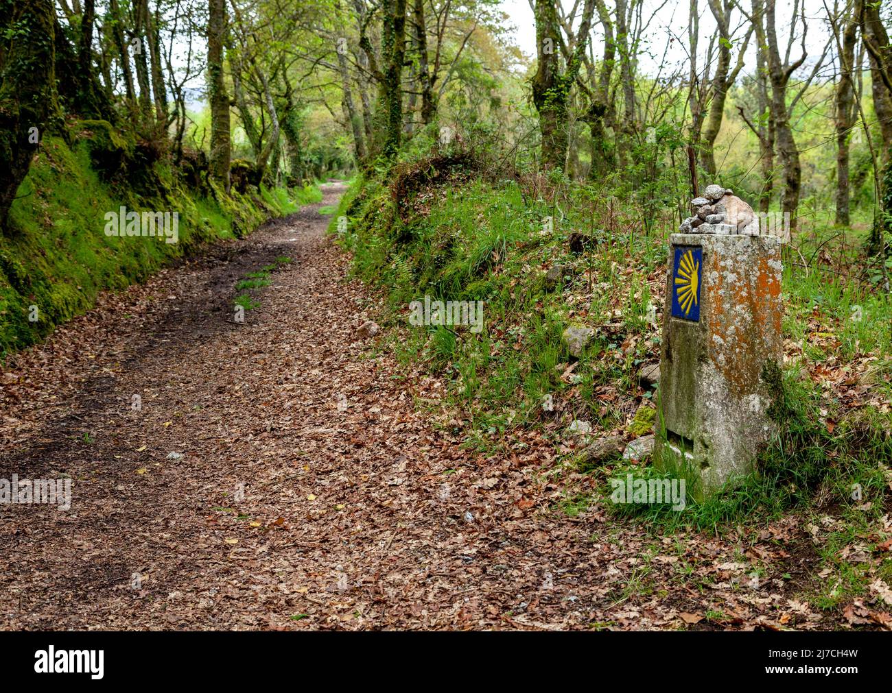 Route de Camino de Santiago Banque D'Images