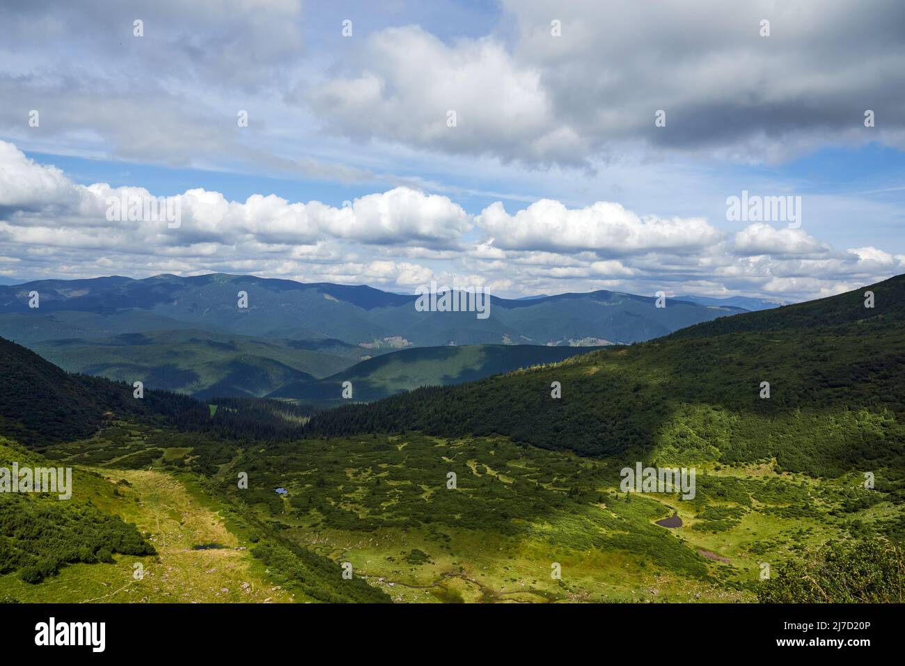 Vallée verte ensoleillée avec buissons et arbres entre les collines de montagne en été. Au-dessus de la vue d'un grand pré avec des ombres des nuages sur le ciel bleu et chaîne de montagnes sur l'arrière-plan. Concept de paysage. Banque D'Images