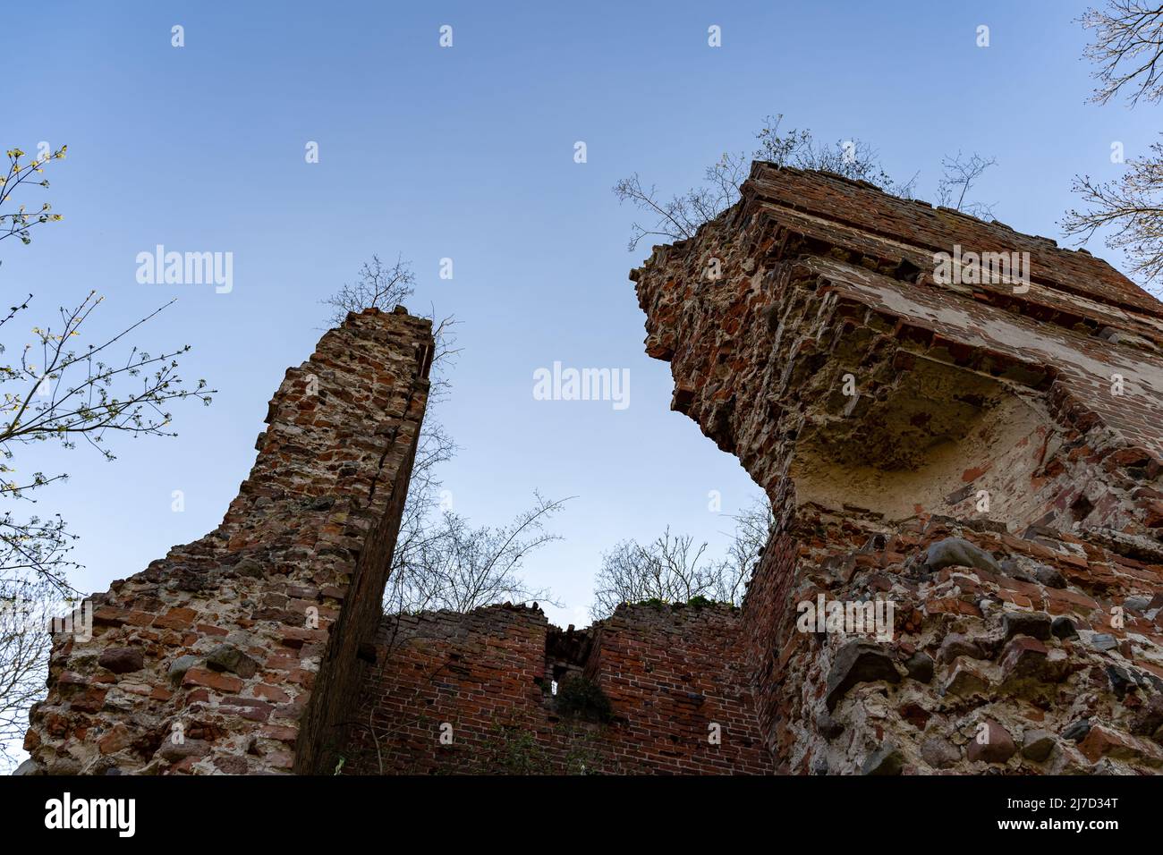 Mur en pierre d'une ancienne ruine médiévale d'une forteresse abandonnée. Vue en angle bas dans le ciel bleu. De petits arbres poussent au-dessus du bâtiment. Banque D'Images