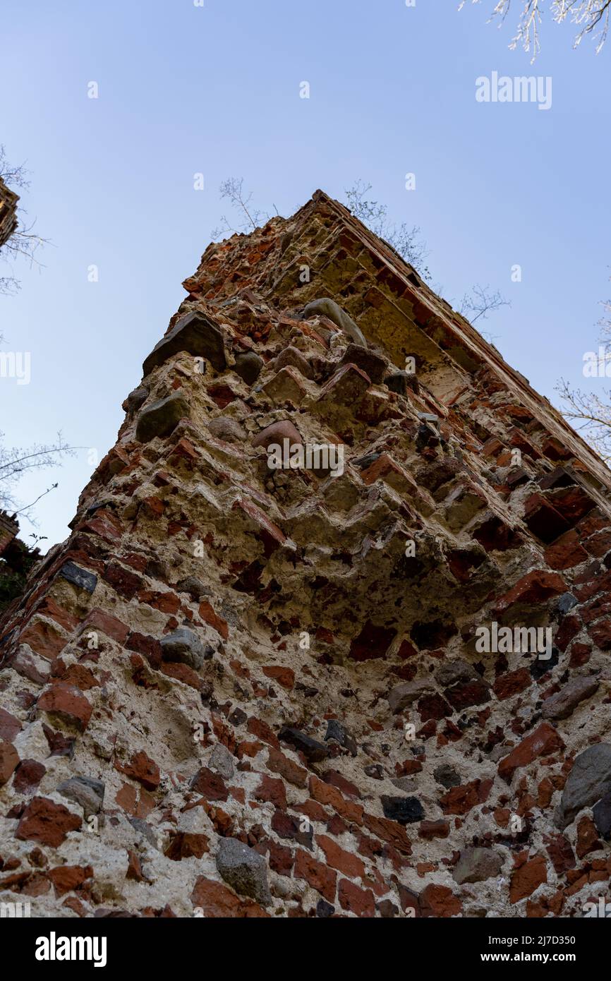 Mur en pierre d'une ancienne ruine médiévale d'une forteresse abandonnée. Vue en angle bas dans le ciel bleu. De petits arbres poussent au-dessus du bâtiment. Banque D'Images