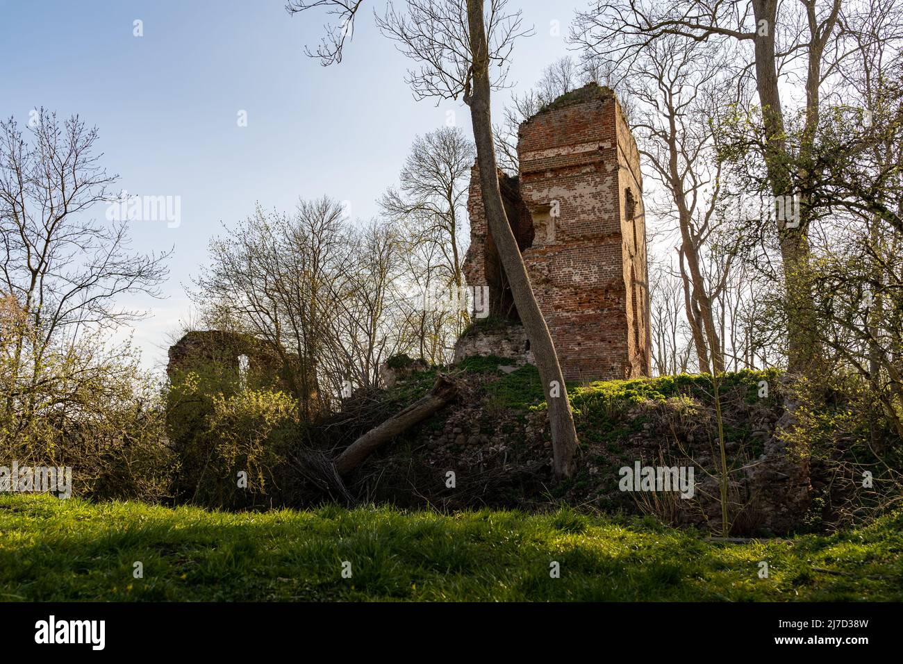Ruine d'une forteresse abandonnée du Moyen-âge en Europe. Extérieur du bâtiment aux intempéries avec murs en pierre cassés. Ancienne maçonnerie d'un point de repère. Banque D'Images