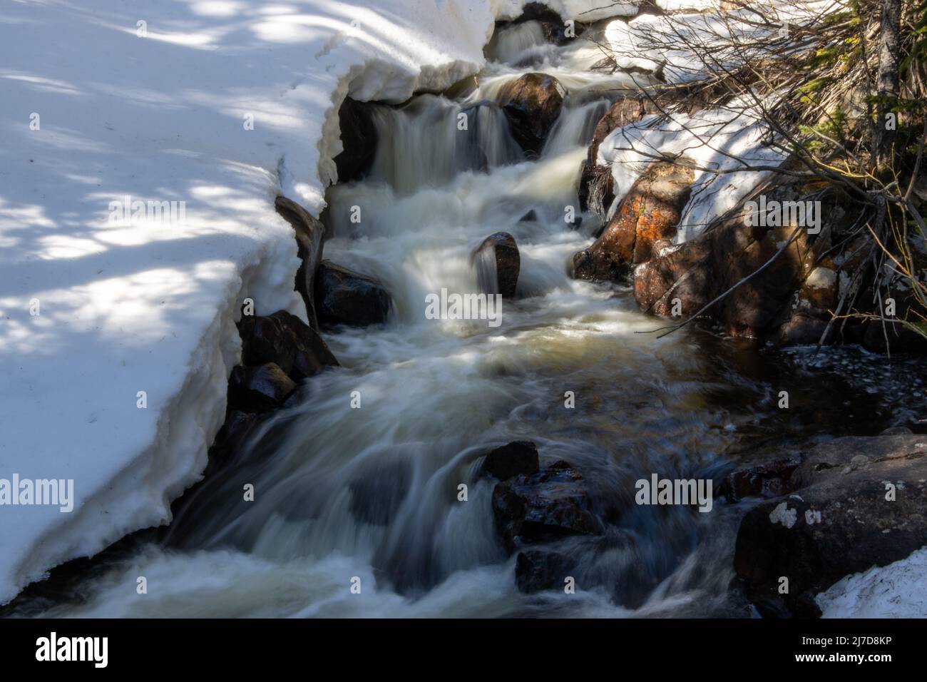 Une rivière traverse les montagnes Rocheuses du Colorado Banque D'Images