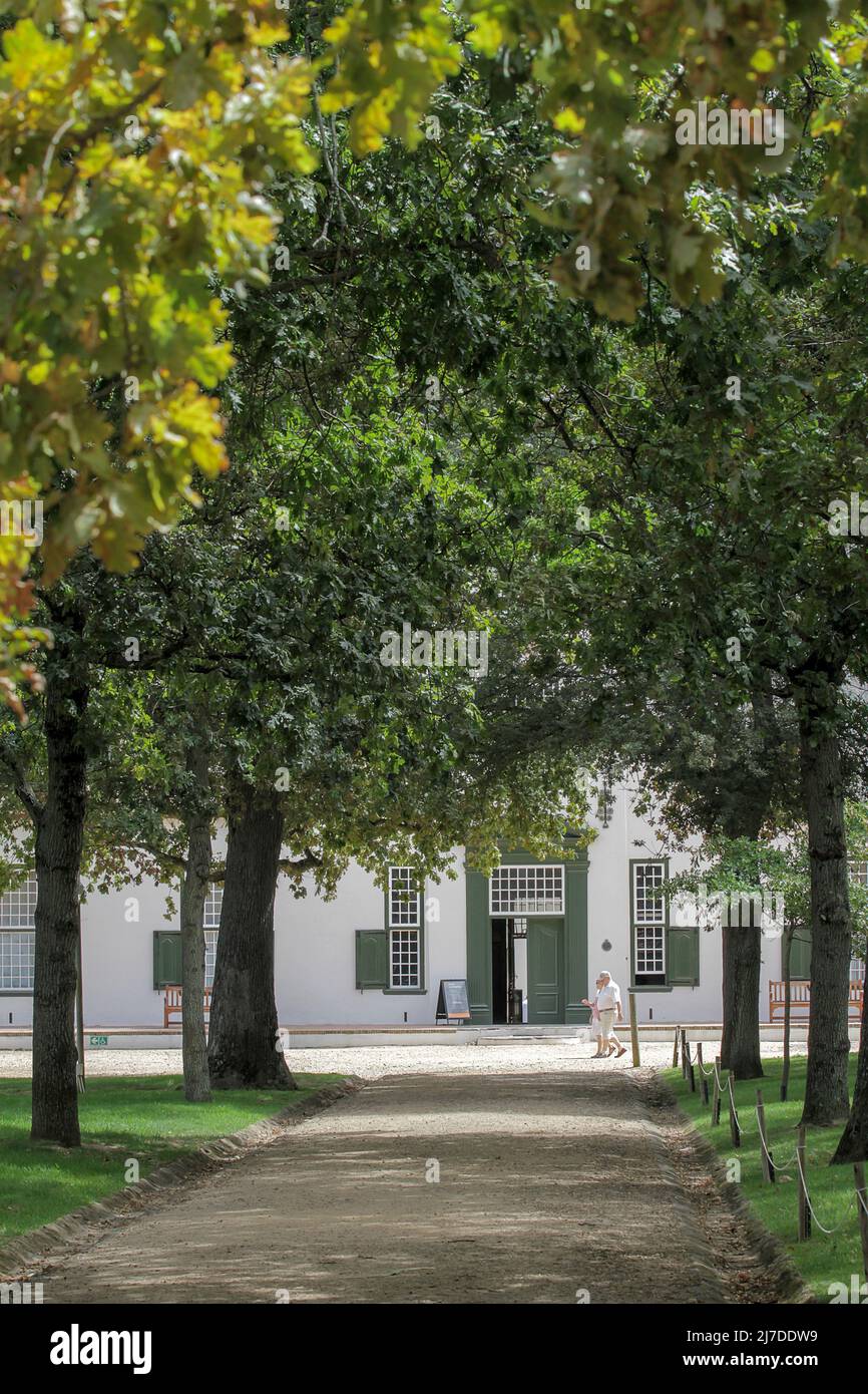 Sentier bordé d'arbres à Groot Constantia Banque D'Images