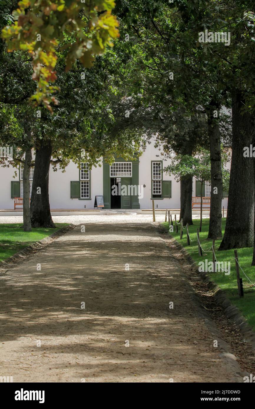 Sentier bordé d'arbres à Groot Constantia Banque D'Images
