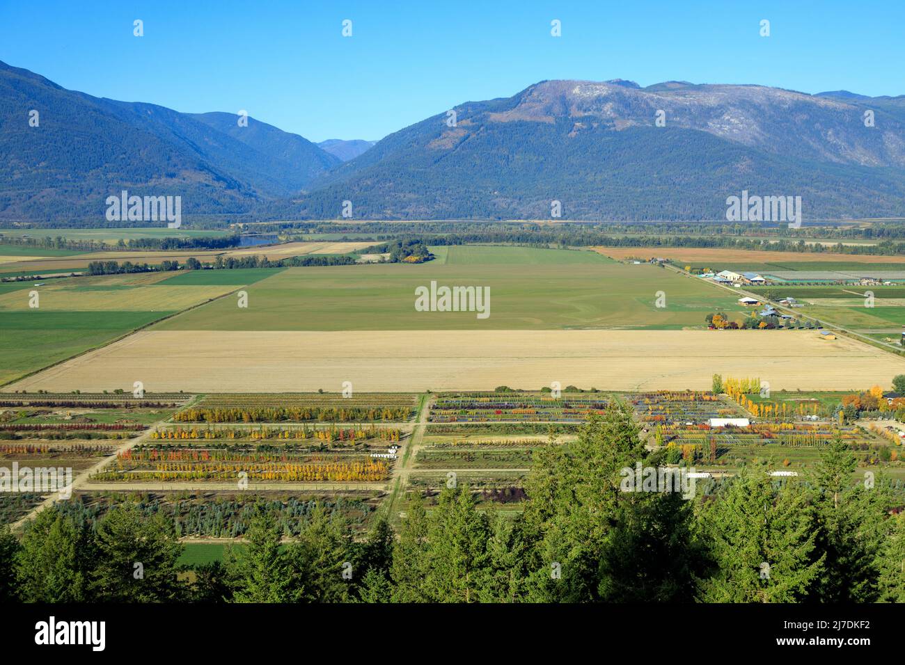 Paysage agricole canadien des terres agricoles et agricoles dans la vallée Creston, située dans la région de Kootenay, près de Creston, en Colombie-Britannique, en CAN Banque D'Images