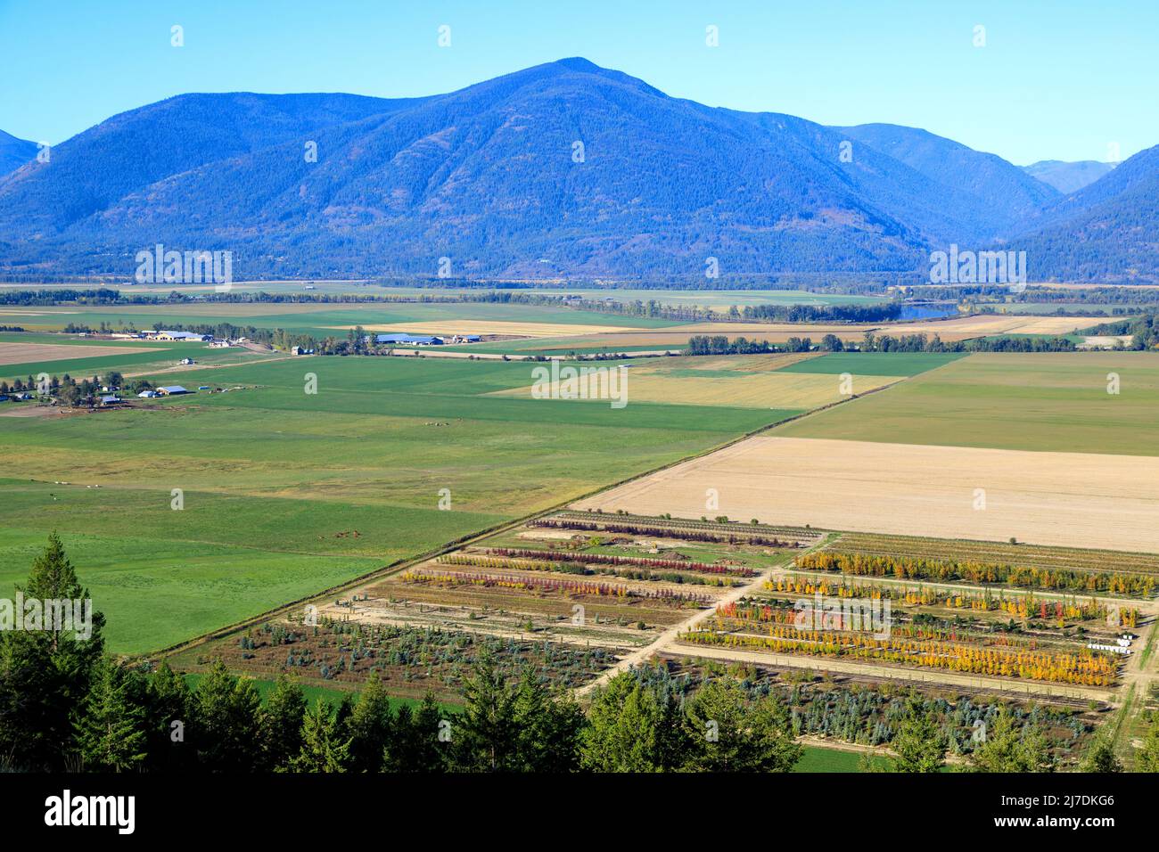 Paysage agricole canadien des terres agricoles et agricoles dans la vallée Creston, située dans la région de Kootenay, près de Creston, en Colombie-Britannique, en CAN Banque D'Images