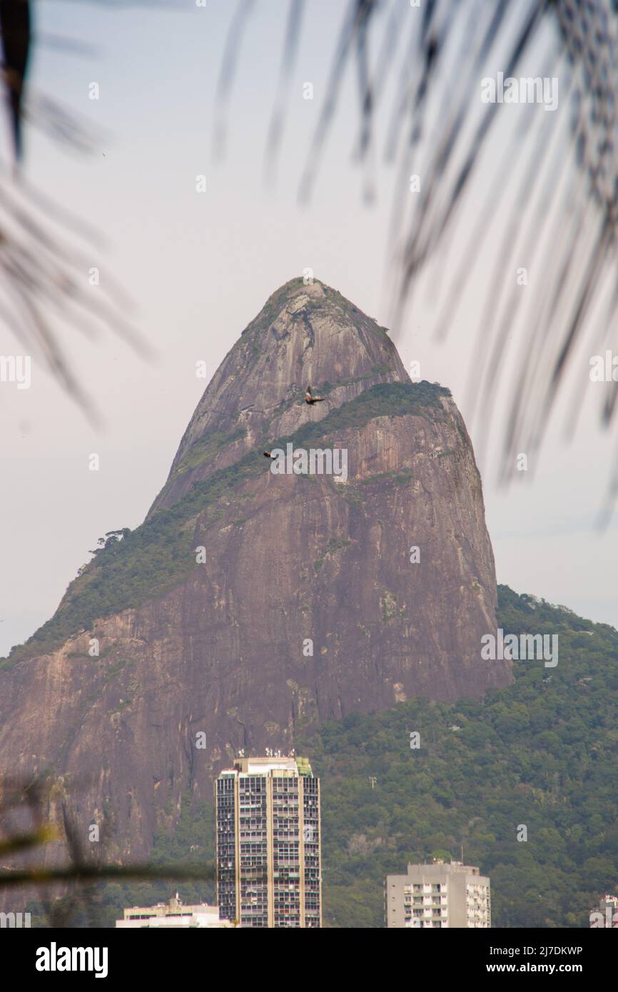 Two Hill Brother, vue de Rodrigo de Freitas Lagoon à Rio de Janeiro, Brésil. Banque D'Images