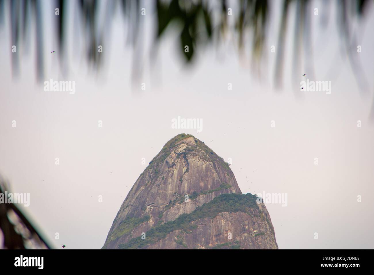 Two Hill Brother, vue de Rodrigo de Freitas Lagoon à Rio de Janeiro, Brésil. Banque D'Images