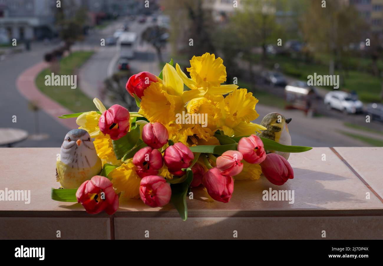 Tulipes rouges et Narcissus jaunes dans un beau bouquet printanier. Bouquet floral printanier sur une fenêtre contre la vue sur la ville Banque D'Images