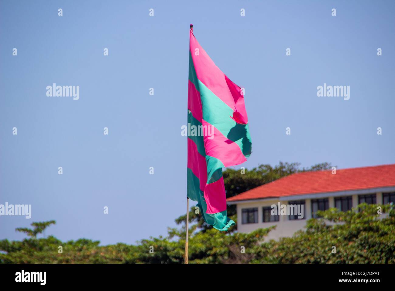 Drapeau de l'école de samba de Mangueira à Rio de Janeiro Brésil - 11 décembre 2021 : drapeau aux couleurs vert et rose de l'école de samba de Mangueira en plein air à Rio de J Banque D'Images