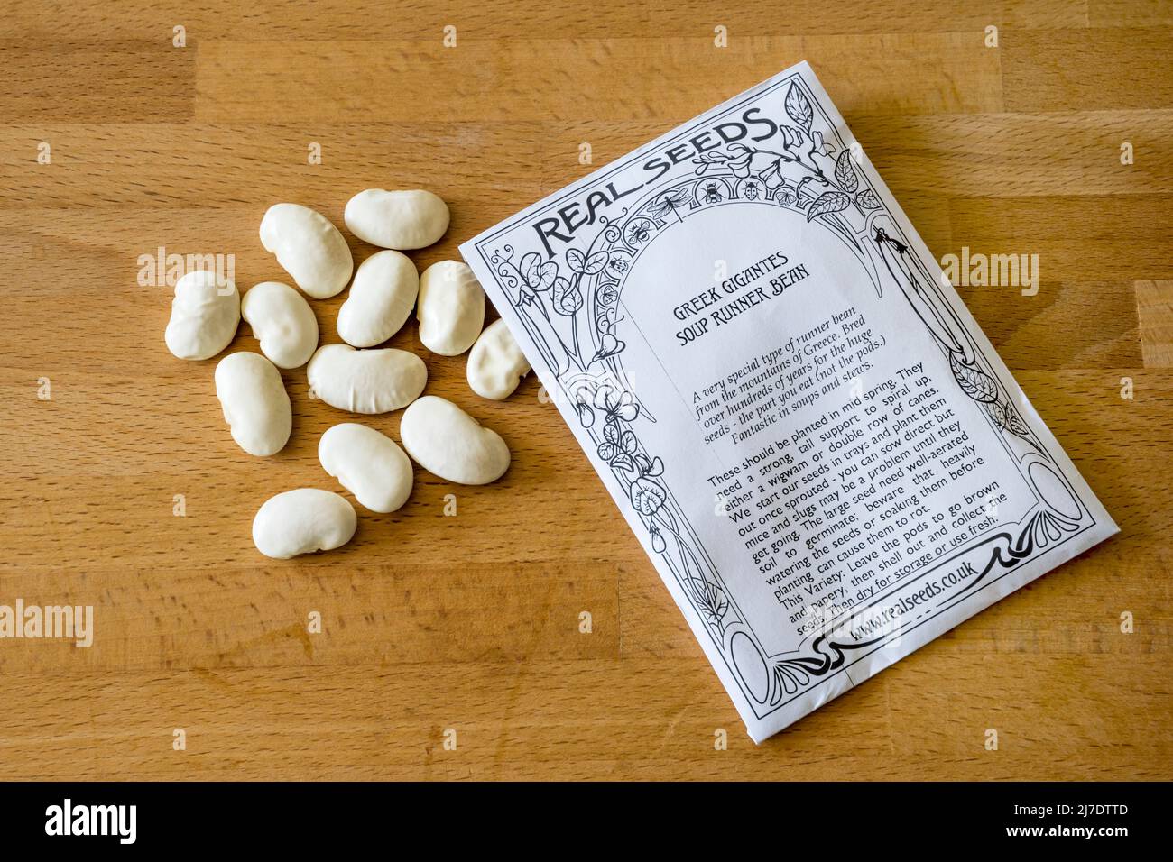 Greek Gigantes, un type de haricots verts cultivés pour utiliser les grands haricots, plutôt que les gousses, dans la soupe. Banque D'Images