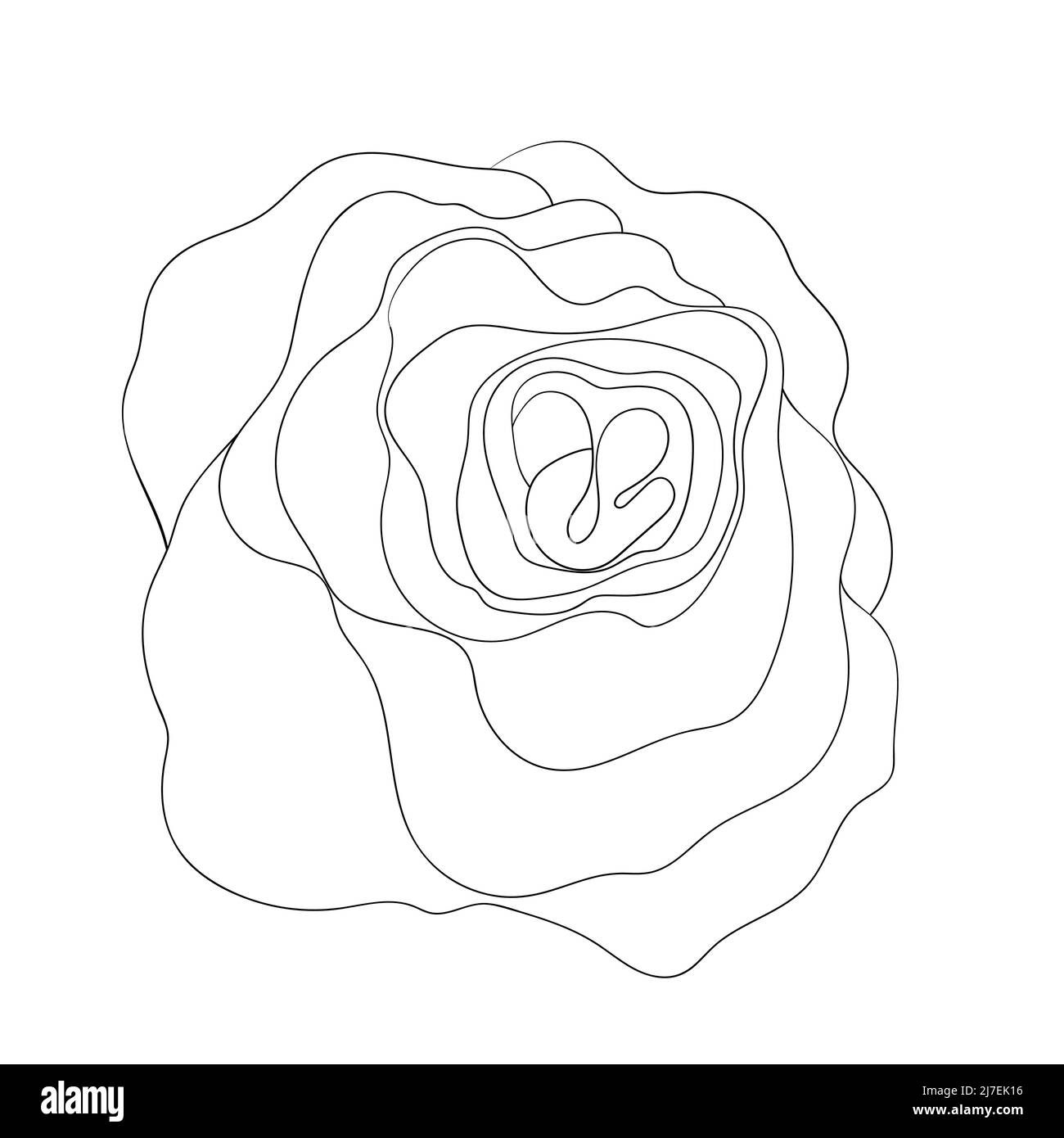 Ligne d'art silhouette florale. Fleurs en ligne continue. Bordure avec fleur tropicale. Esquisse linéaire noire minimaliste. Vecteur tendance Illustration de Vecteur